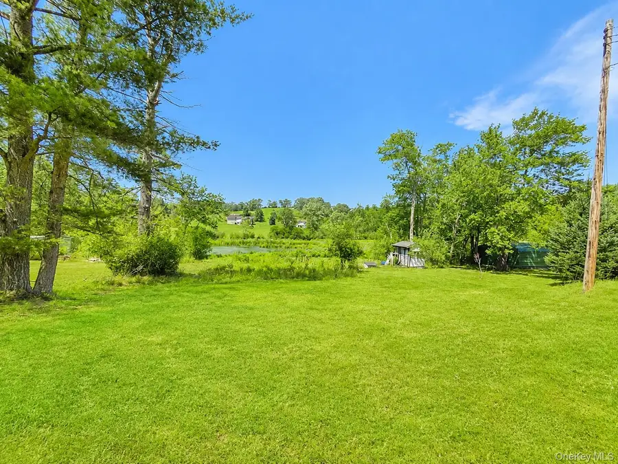 601 Briscoe Road, Swan Lake, NY 12783 - #2