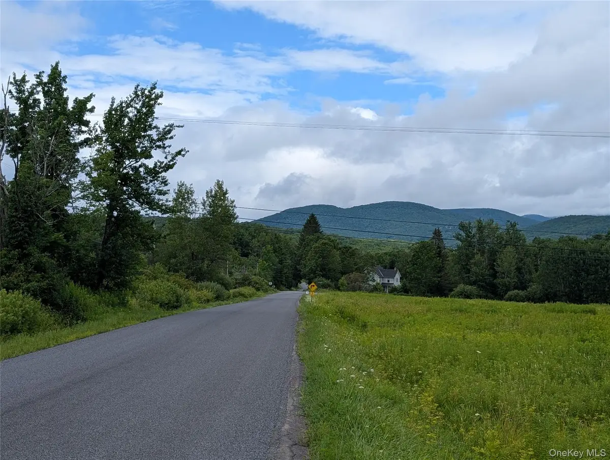 Hubbell Hill Road, Margaretville, NY 12455 - #1