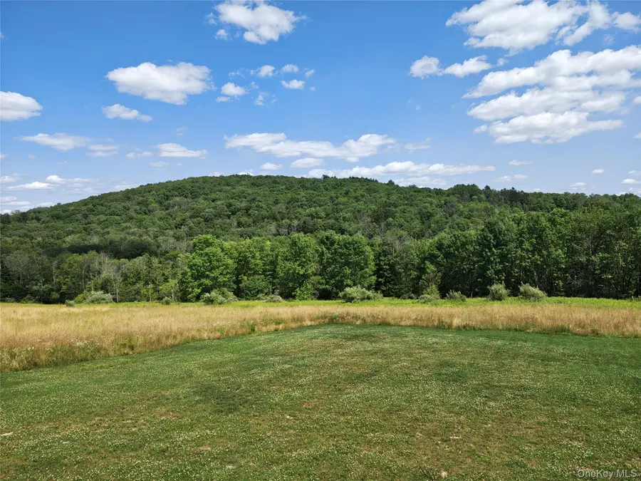 129 Nelson Road, Hankins, NY 12741 - #2