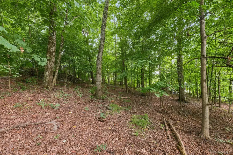 Brewer Road, Newburgh, NY 12550 - #3