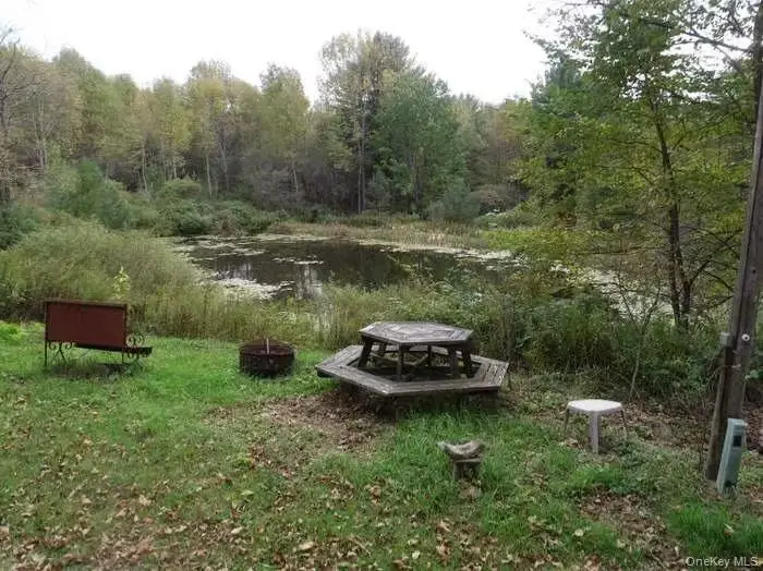3036 County Highway 4, Butternuts, NY 13776 - #3