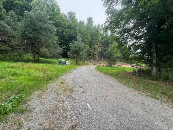 Rapp Road, Monticello, NY 12701