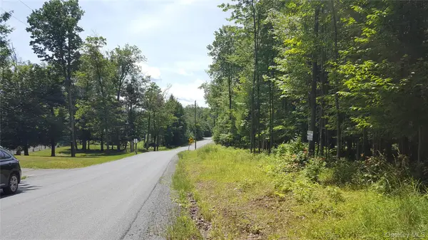 Co Hwy 73, Swan Lake, NY 12783