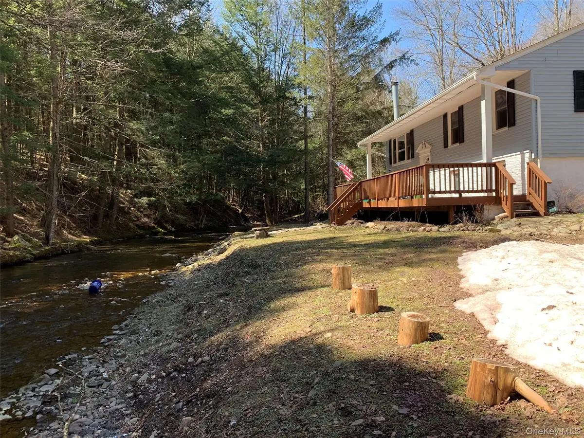 604 Basket Road, Long Eddy, NY 12760 - #1