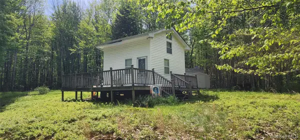 1433 County Route 56 Lane, Mountain Dale, NY 12779
