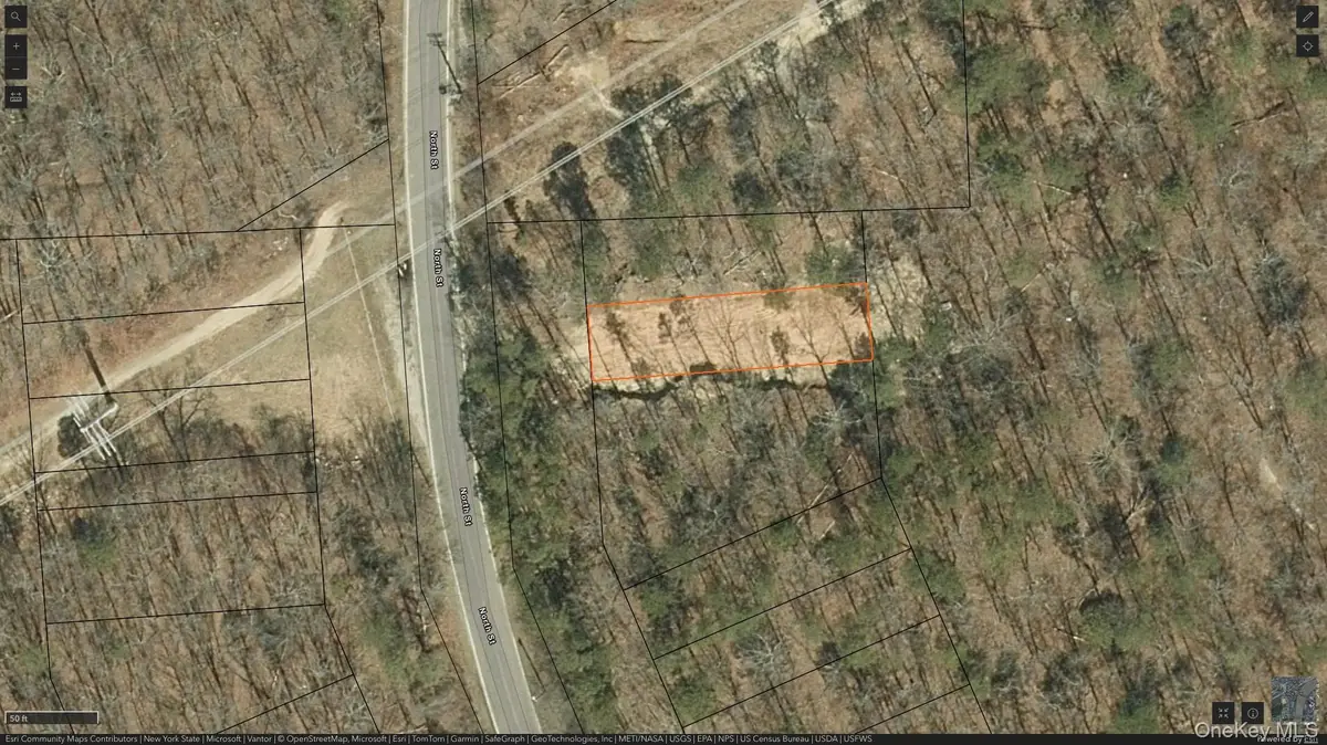 Manor Yaphank Road, Manorville, NY 11949 - #1