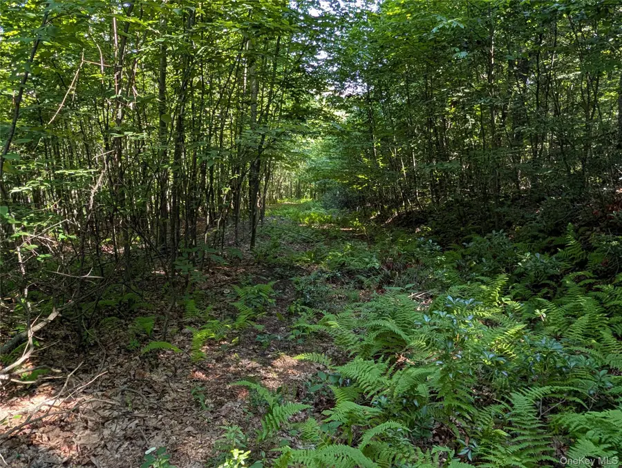 Us Highway Route 6, Port Jervis, NY 12771 - #2