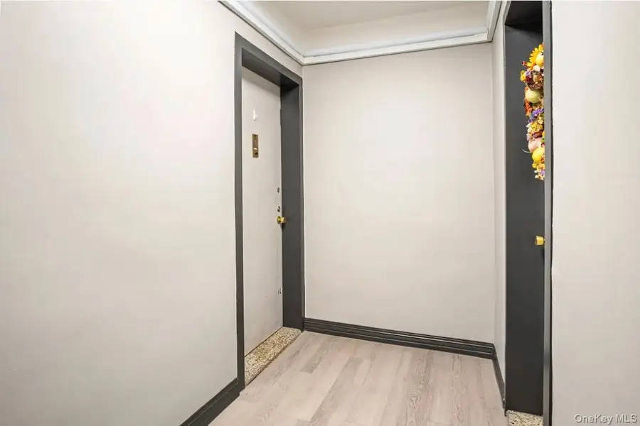101 Clinton Avenue #1L, Mineola, NY 11501 - #2