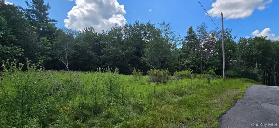 00 Red Hill Knolls Road, Grahamsville, NY 12740 - #2