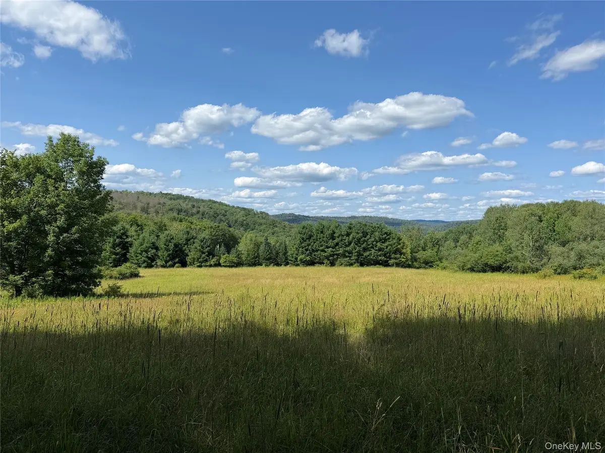 Bert Medlar Road, Hancock, NY 13783 - #1
