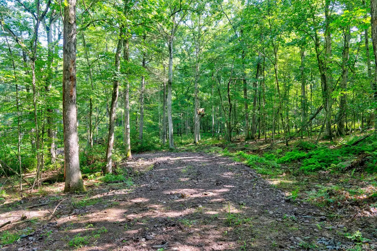 Lot 23 Perry Pond Road, Narrowsburg, NY 12764 - #1