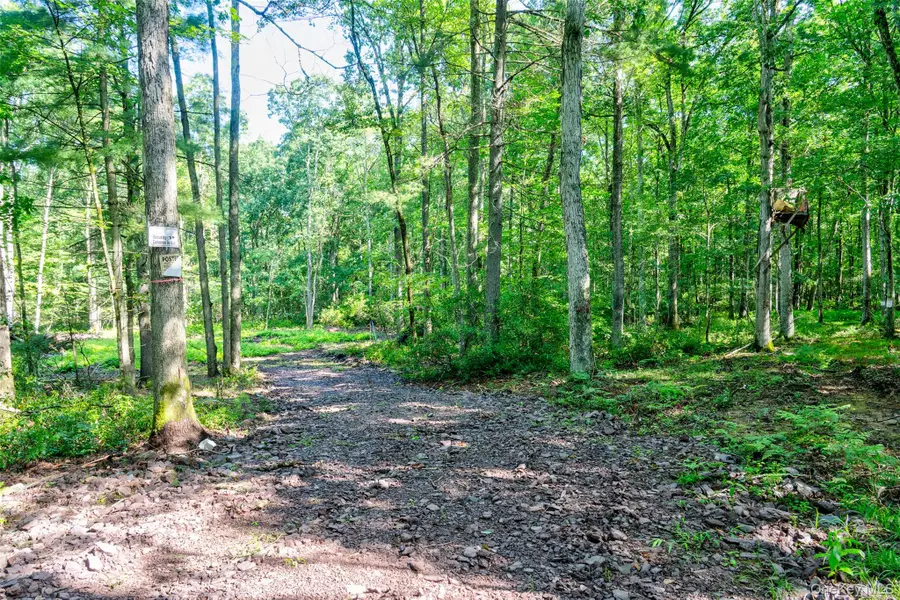 Lot 23 Perry Pond Road, Narrowsburg, NY 12764 - #2
