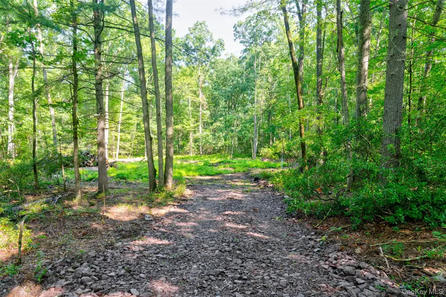 Lot 23 Perry Pond Road, Narrowsburg, NY 12764 - #3