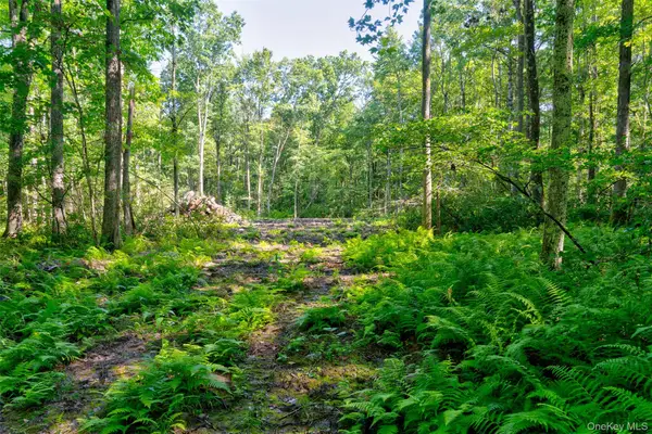 Lot 22 Perry Pond Road, Narrowsburg, NY 12764