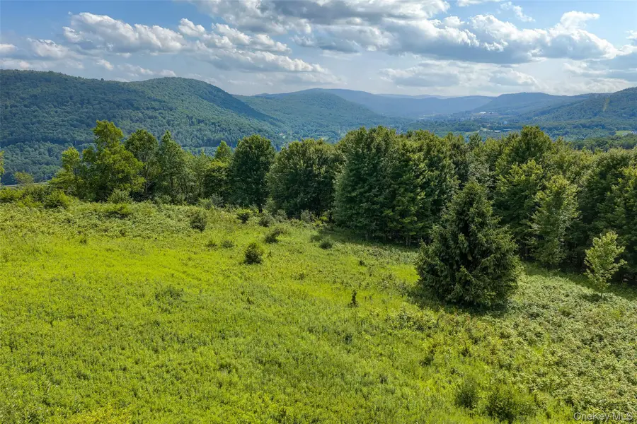 Lot 23 Lynch Road, Delhi, NY 13753 - #2