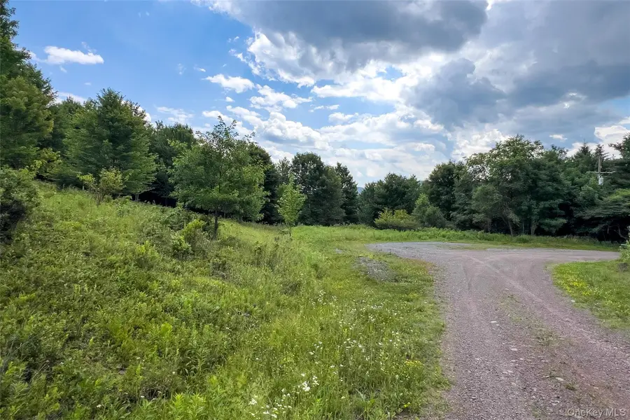 Lot 23 Lynch Road, Delhi, NY 13753 - #3