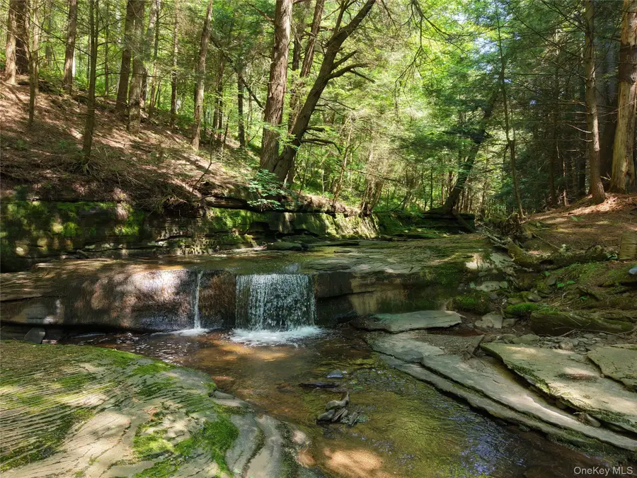 Lot 35 Webster Brook Road, Bloomville, NY 13842 - #3