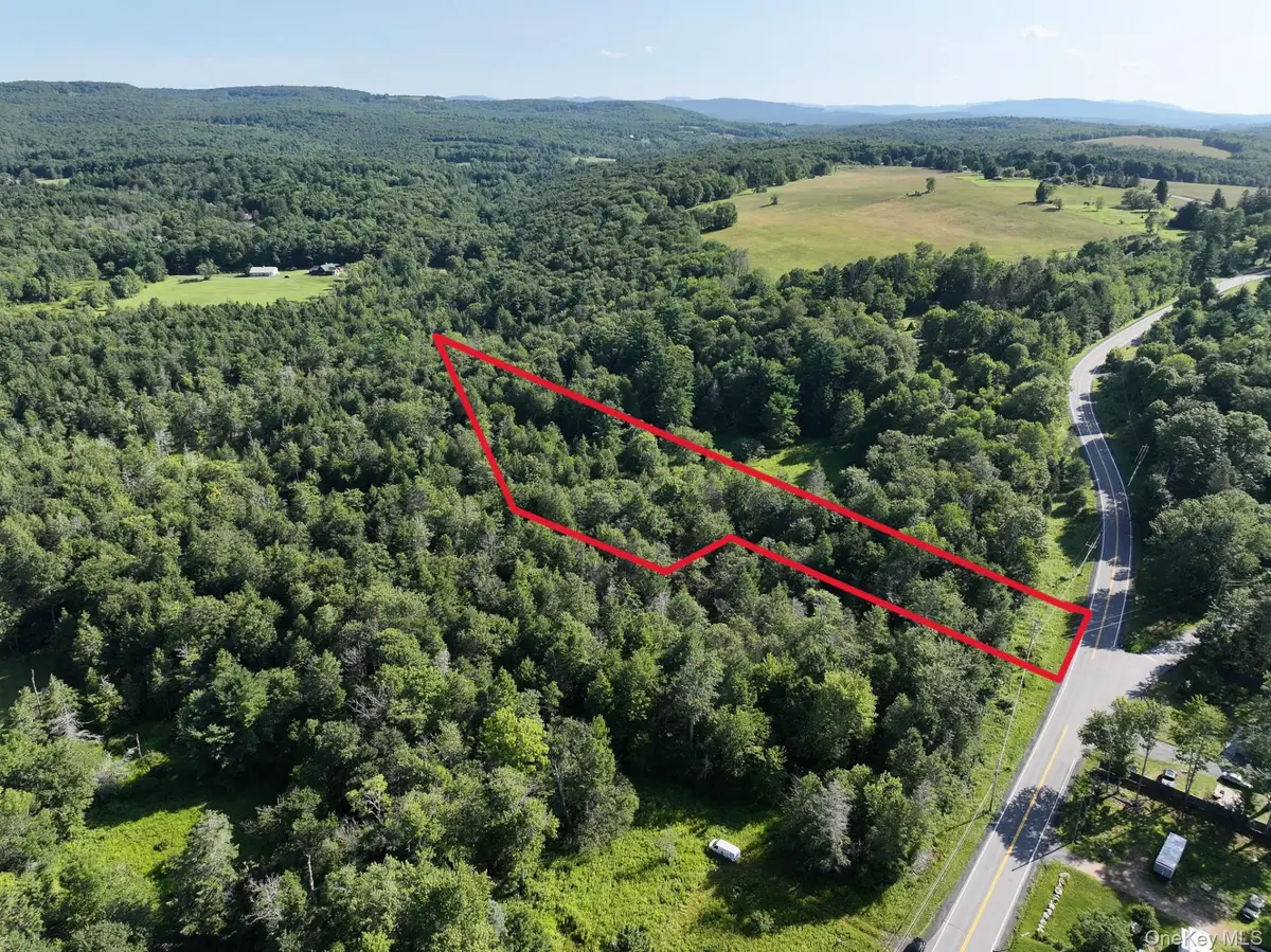 LOT 3 Neversink Road, Liberty, NY 12754 - #1