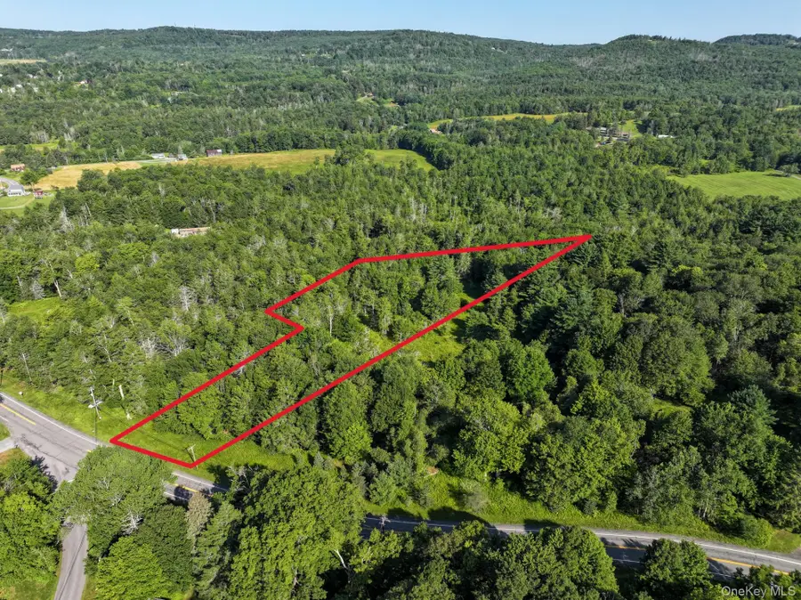 LOT 3 Neversink Road, Liberty, NY 12754 - #2