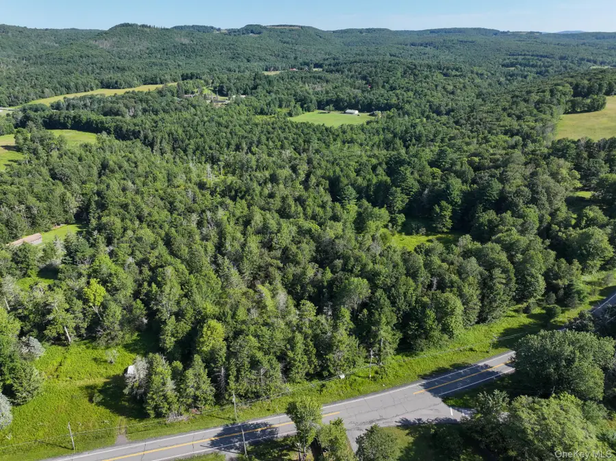 LOT 3 Neversink Road, Liberty, NY 12754 - #3