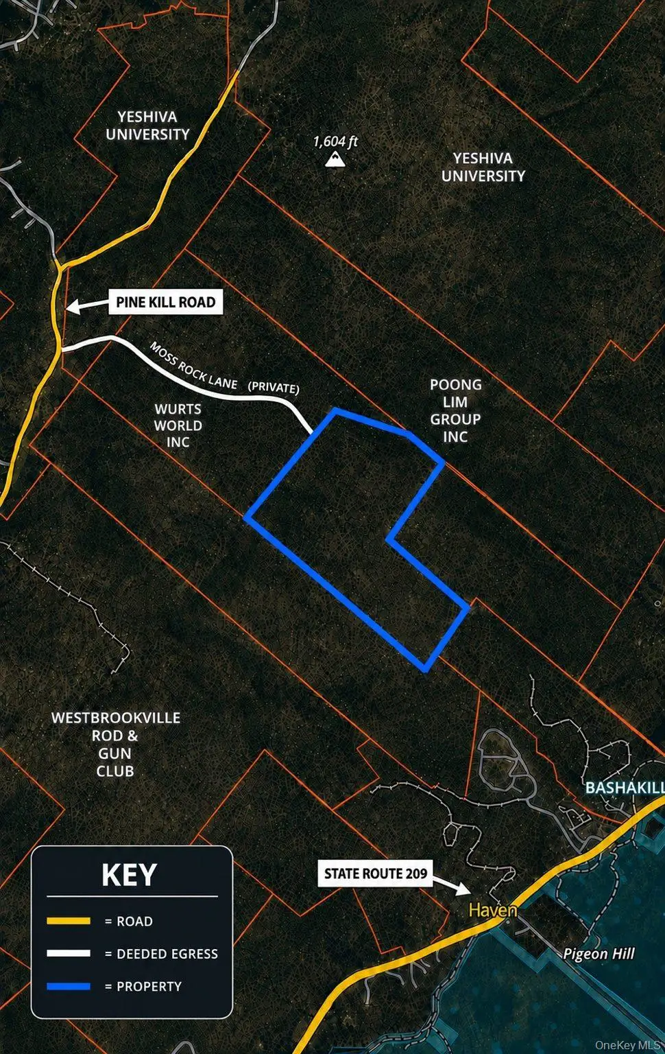 State Route 209, Wurtsboro, NY 12790 - #1