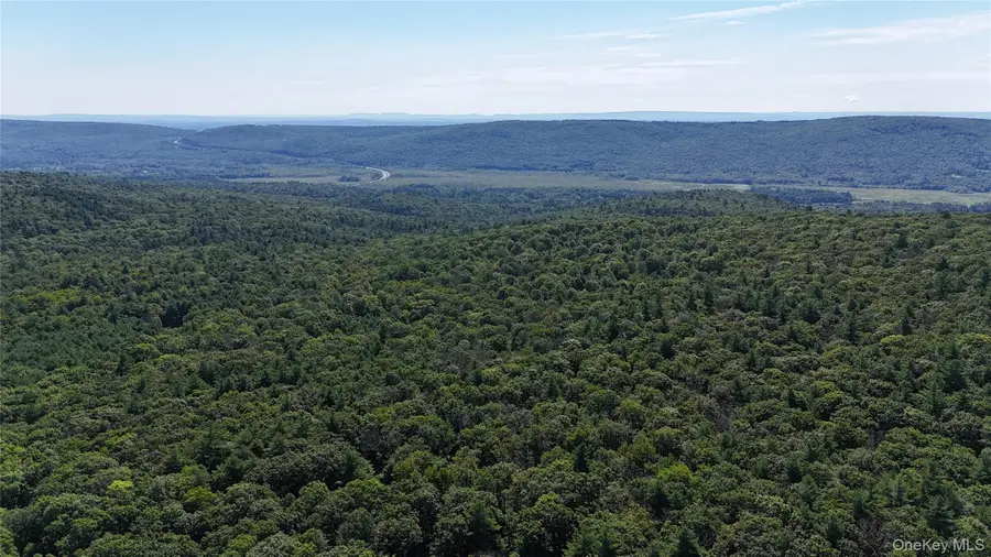 State Route 209, Wurtsboro, NY 12790 - #3