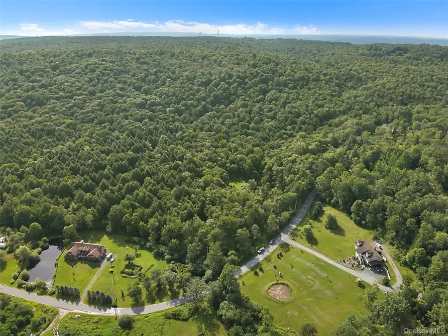 Benton Hollow Road, Livingston Manor, NY 12758 - #2
