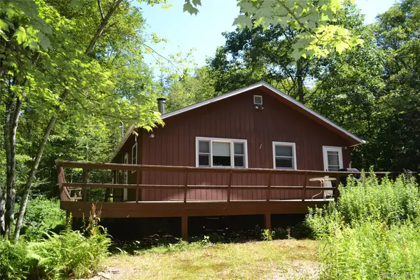 3897 Campbell Mountain Road, Downsville, NY 13755