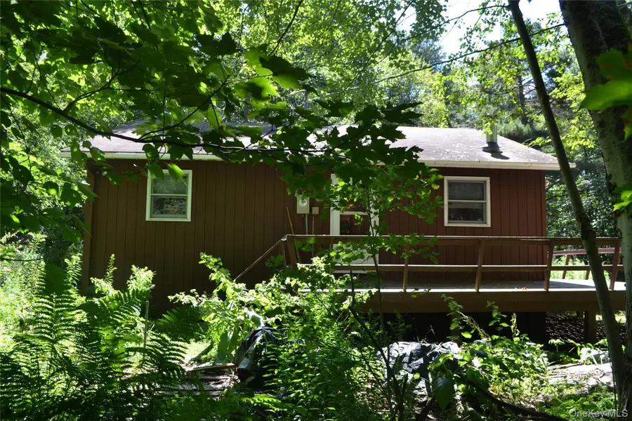 3897 Campbell Mountain Road, Downsville, NY 13755 - #2