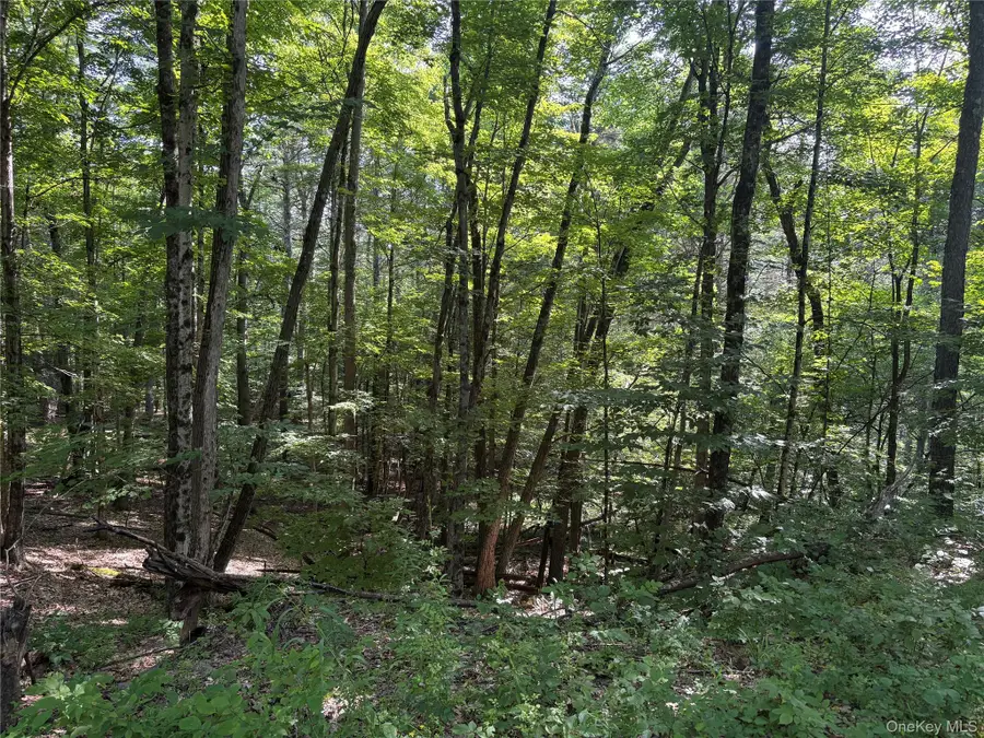 Crescent Road, Gilboa, NY 12076 - #2