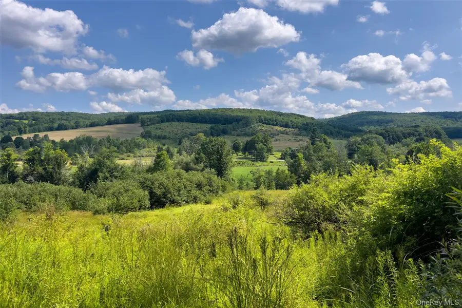 Lot #11 Franklin Depot Road, Sidney, NY 13838 - #3