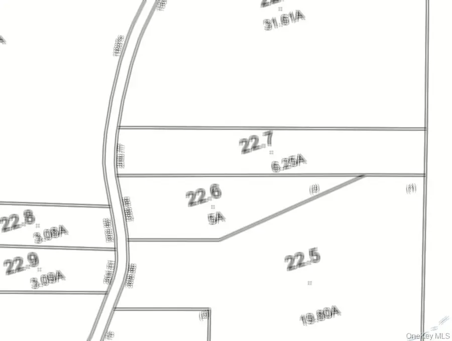 Dutch Hill Road, Callicoon, NY 12776 - #2