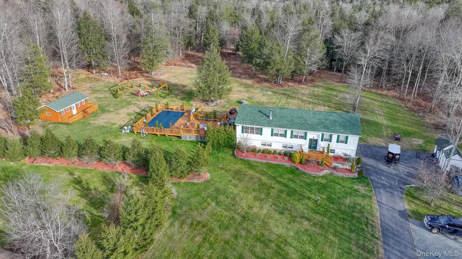 226 Big Woods Road, Harris, NY 12742 - #2