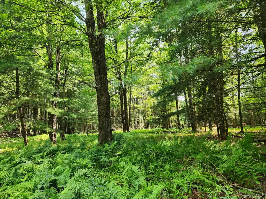 Soule Road, Bethel, NY 12720 - #2