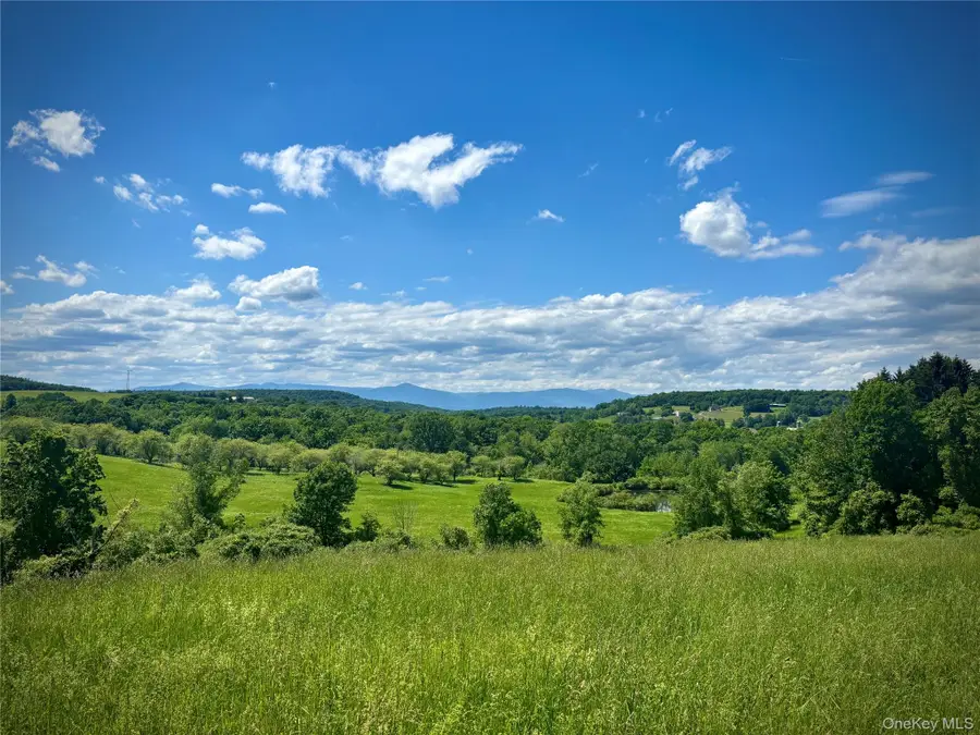 2727 County Route 8, Elizaville, NY 12523 - #2