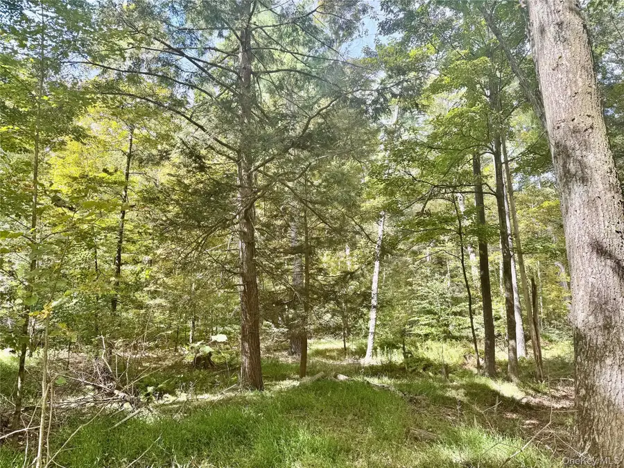 5 Trails, Cuddebackville, NY 12729 - #2