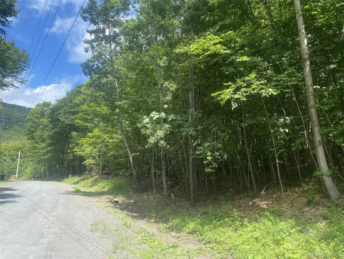 140 Arbor Road, Lexington, NY 12452 - #1
