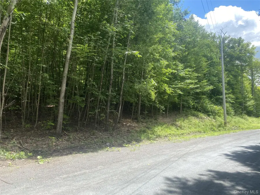 140 Arbor Road, Lexington, NY 12452 - #2