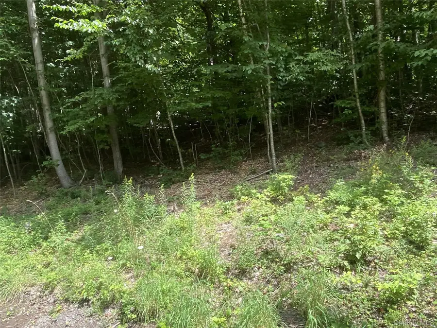 140 Arbor Road, Lexington, NY 12452 - #3