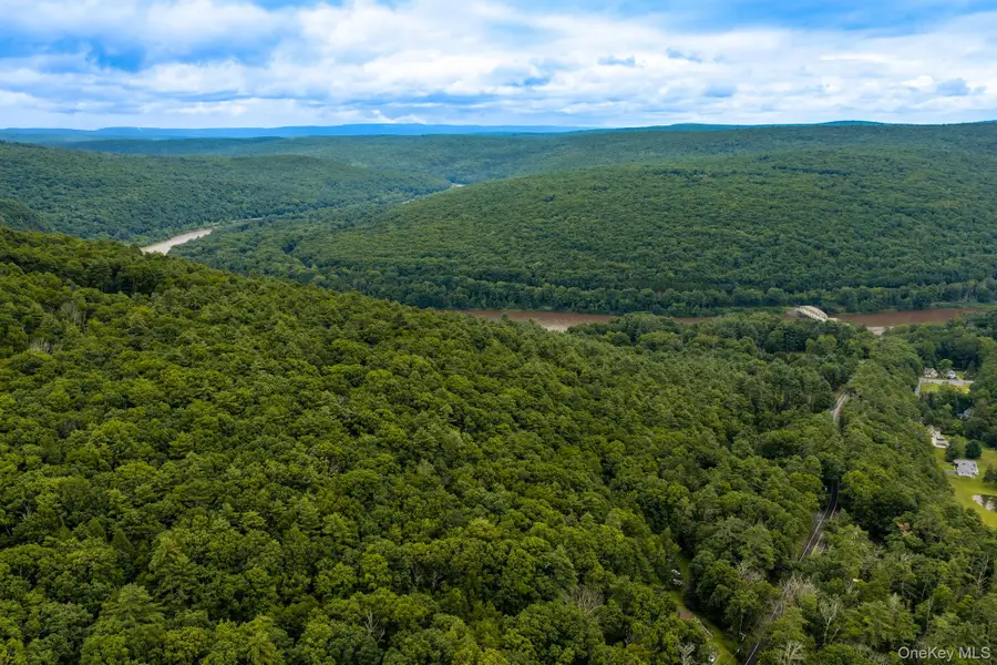 Lot 39 Lynn Road, Glen Spey, NY 12737 - #3