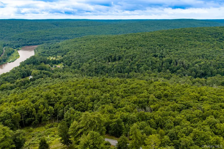 Lot 1.2 High Road, Glen Spey, NY 12737 - #2