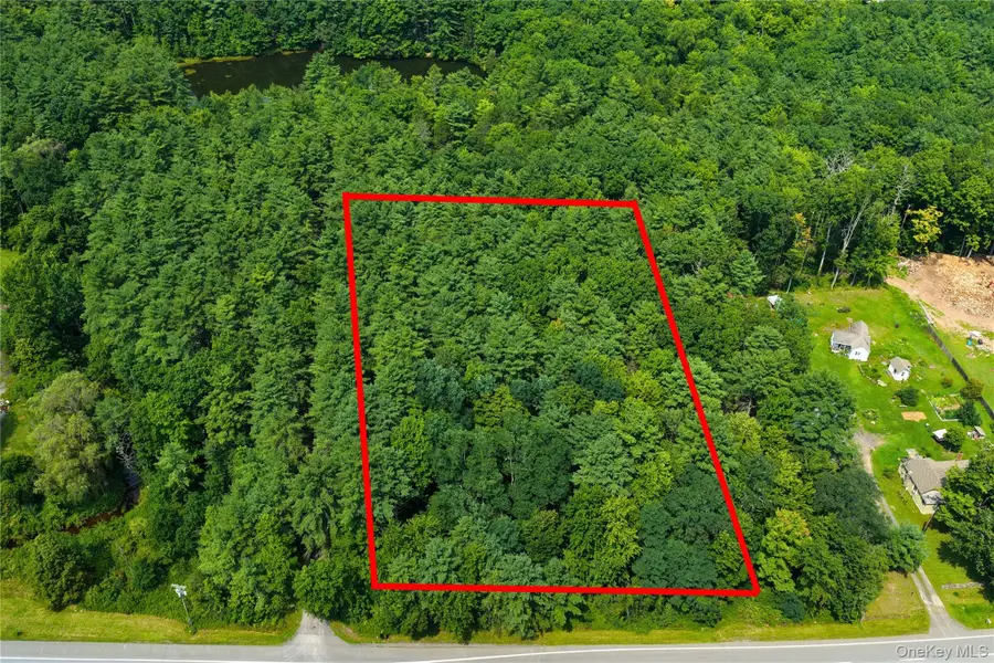 4480 State Route 23, Cairo, NY 12413 - #3