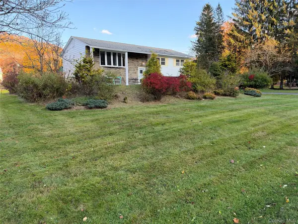 336 Old Route 17, Livingston Manor, NY 12758