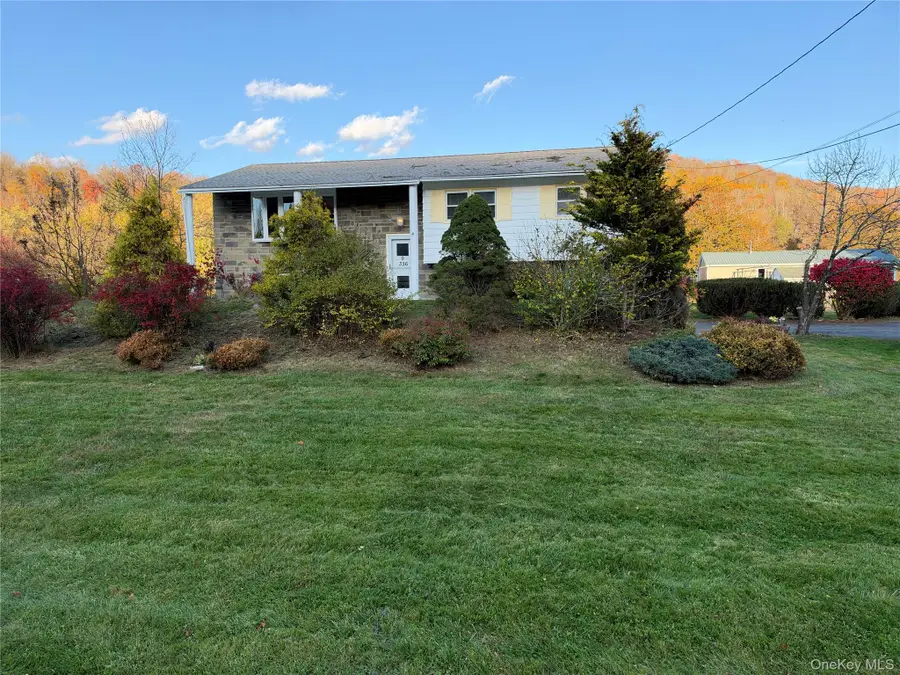 336 Old Route 17, Livingston Manor, NY 12758 - #3