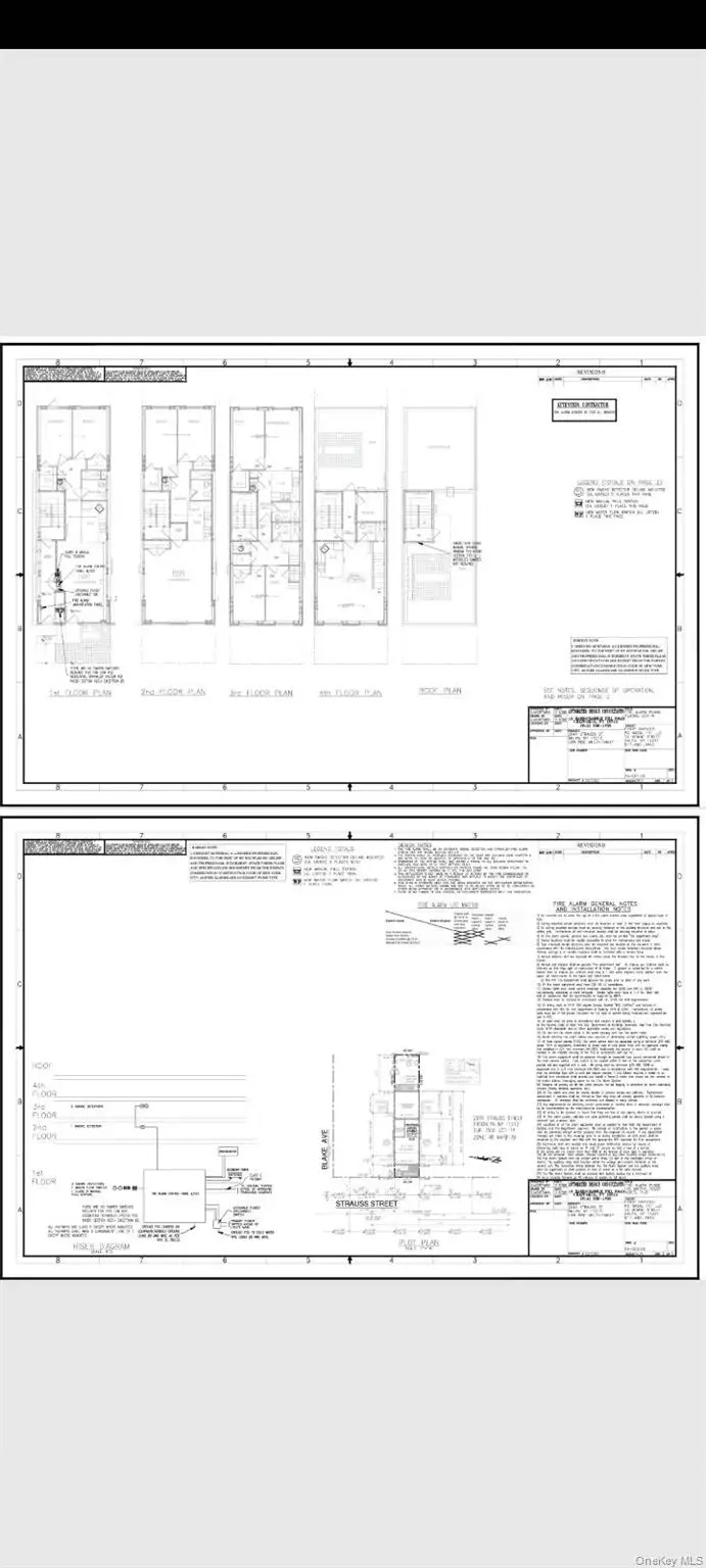 2041 Strauss Street, Brooklyn, NY 11212 - #3