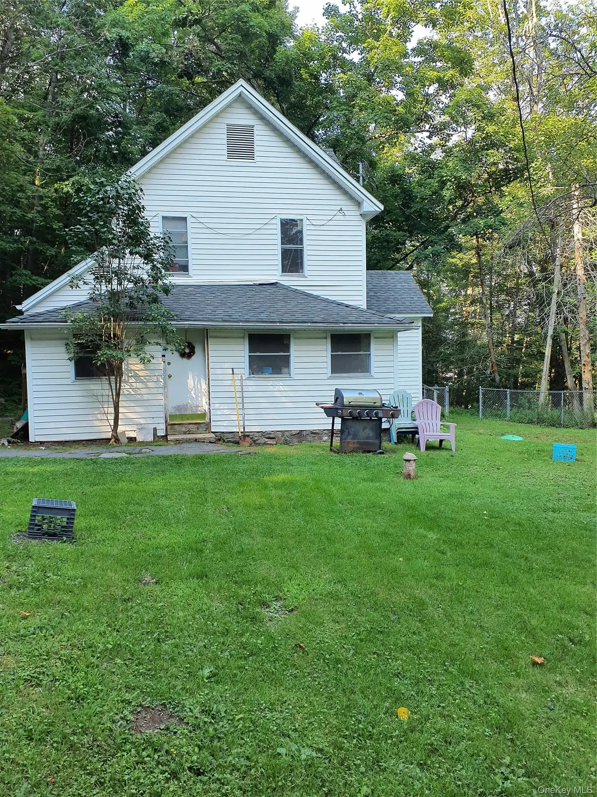 5767 5763 State Route 55, Liberty, NY 12754 - #1