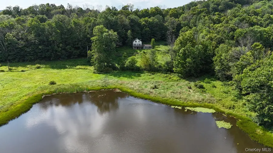 Waterfront Lot 14 Meadow Lane, Fremont Center, NY 12736 - #2