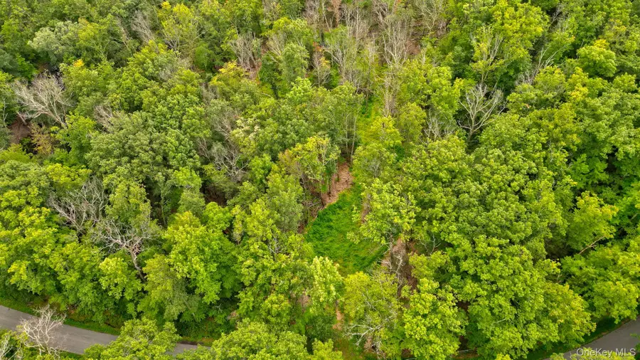 Lot 1 Pantelop Road, Mamakating, NY 12790 - #2