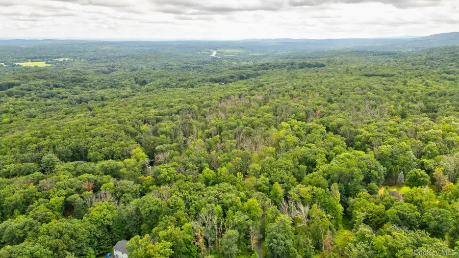 Lot 1 Pantelop Road, Mamakating, NY 12790 - #3