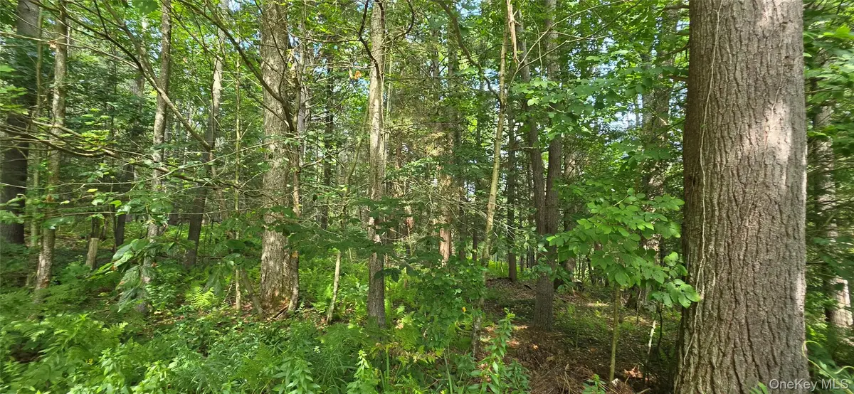 Lot 6 Nys 52, Narrowsburg, NY 12764 - #1